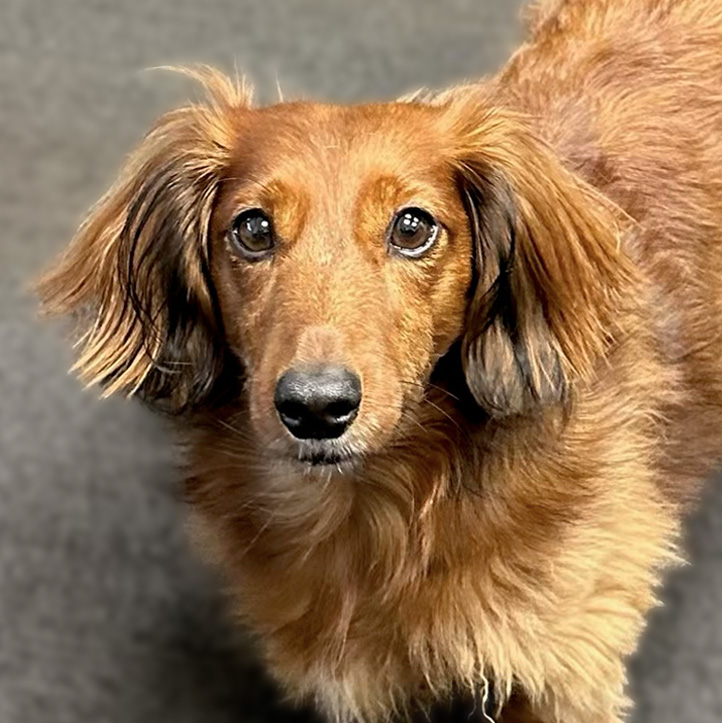 Ms. Winnie Welcoming Committee